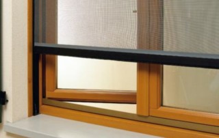 plaseinsecte810x523